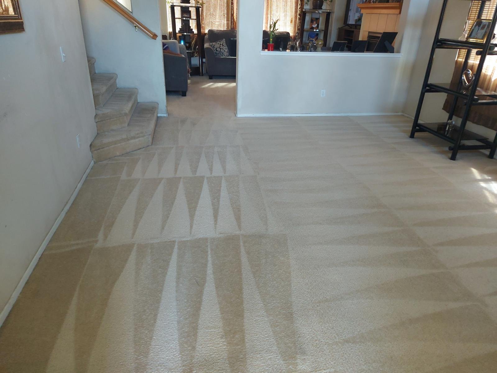 Carpet Cleaning